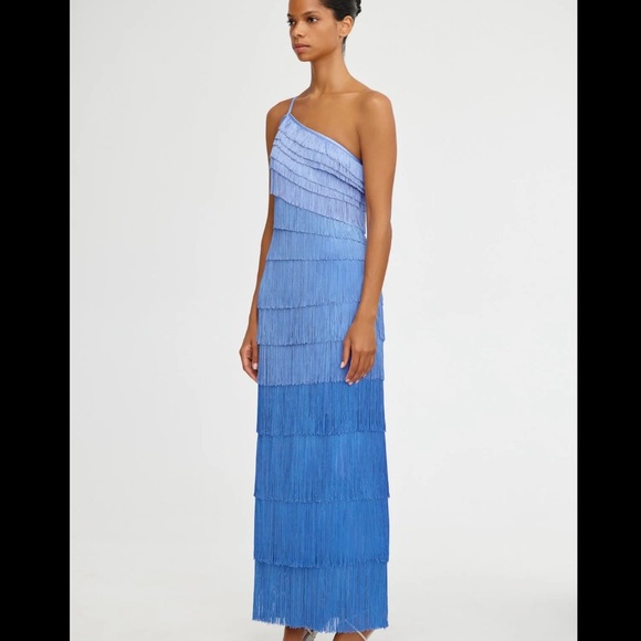 Significant Other Ola Dress: one shoulder fringe dress - Picture 2 of 7